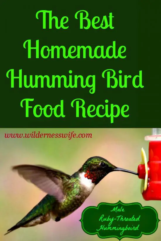 Hummingbird Food Recipe The Wilderness Wife