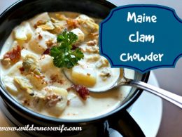 maine clam chowder